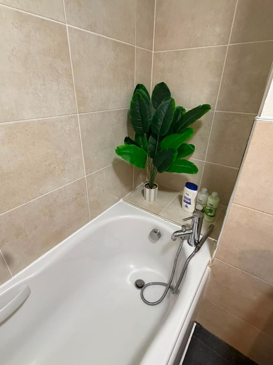 Bathroom, Bath