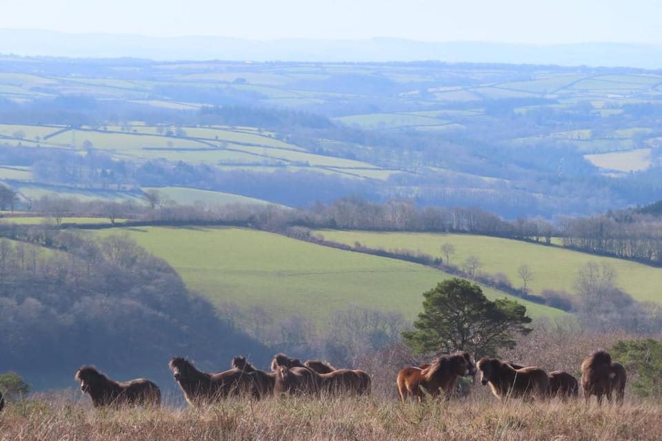 South Greenslade Farm Lodge House in West Somerset District