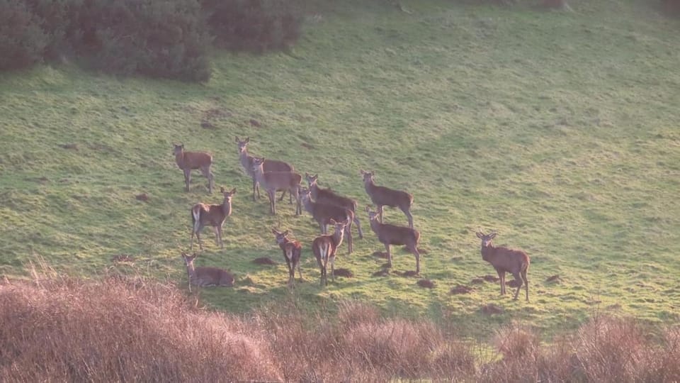 South Greenslade Farm Lodge House in West Somerset District