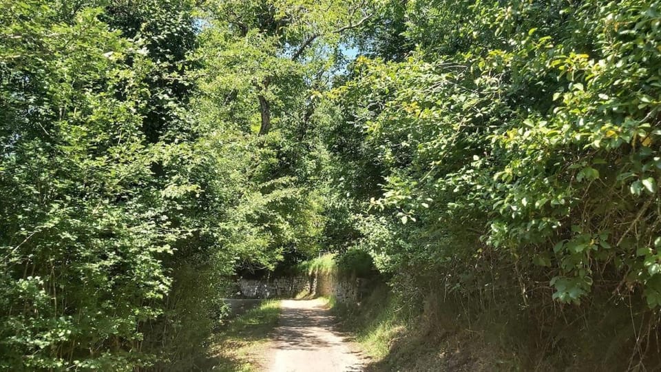 Natural landscape