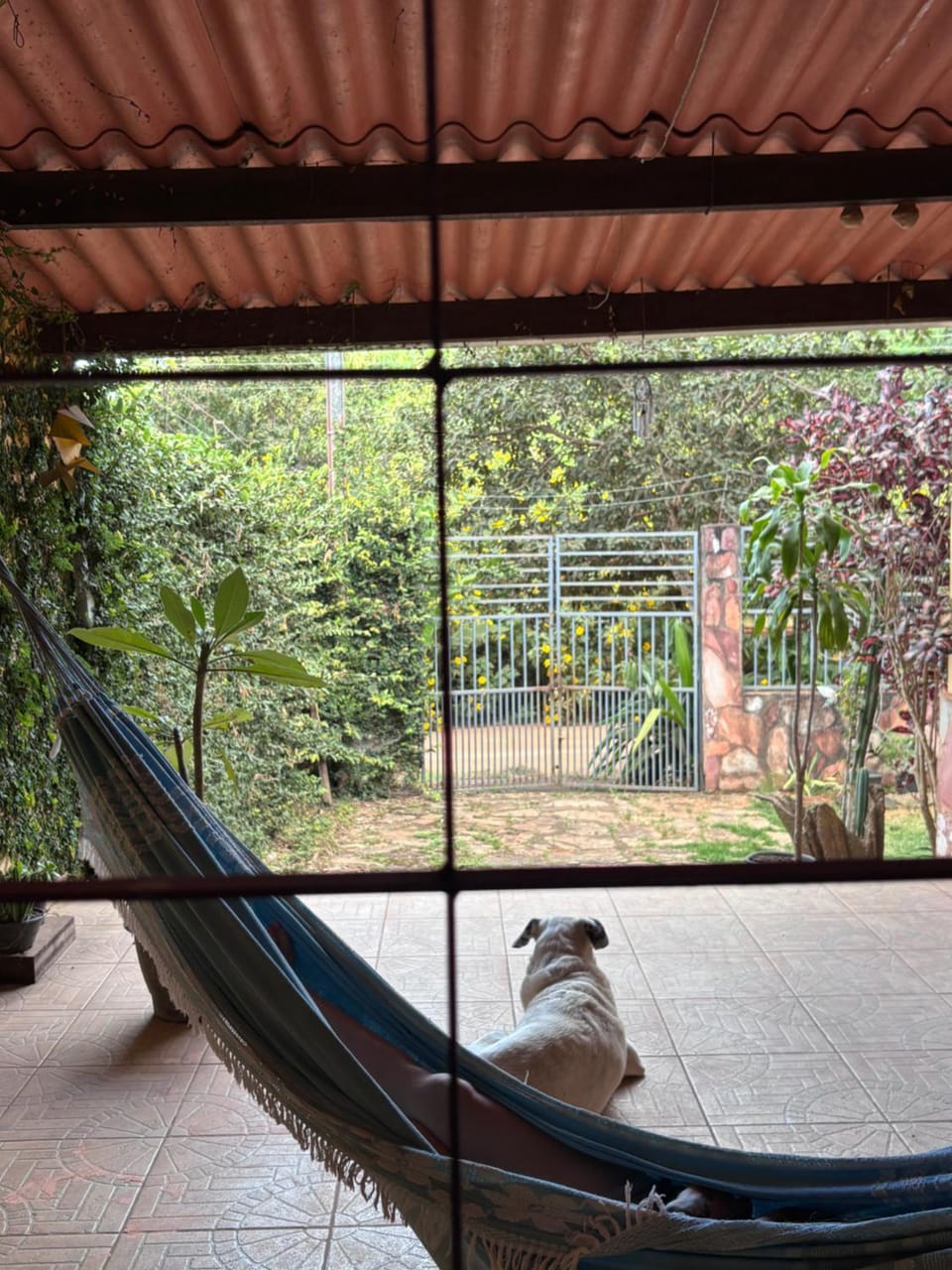 Kasa das Fadas Vacation rental in State of Goiás
