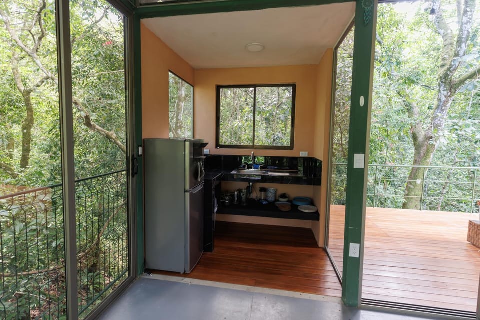 Natural landscape, View (from property/room), Balcony/Terrace, Kitchen or kitchenette