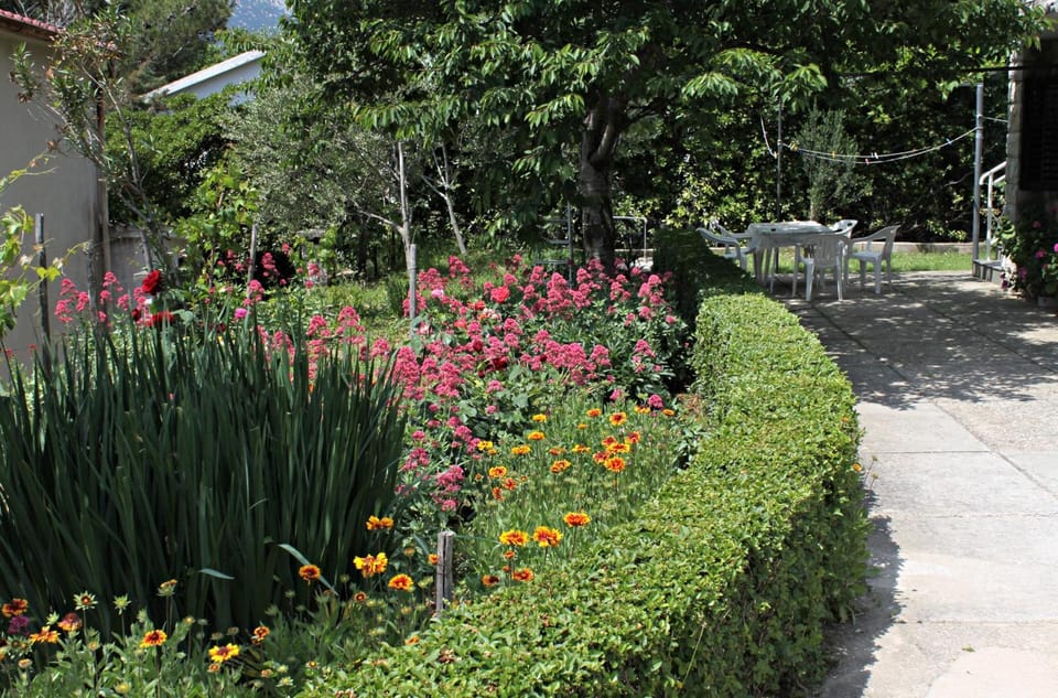 Location, children, Family