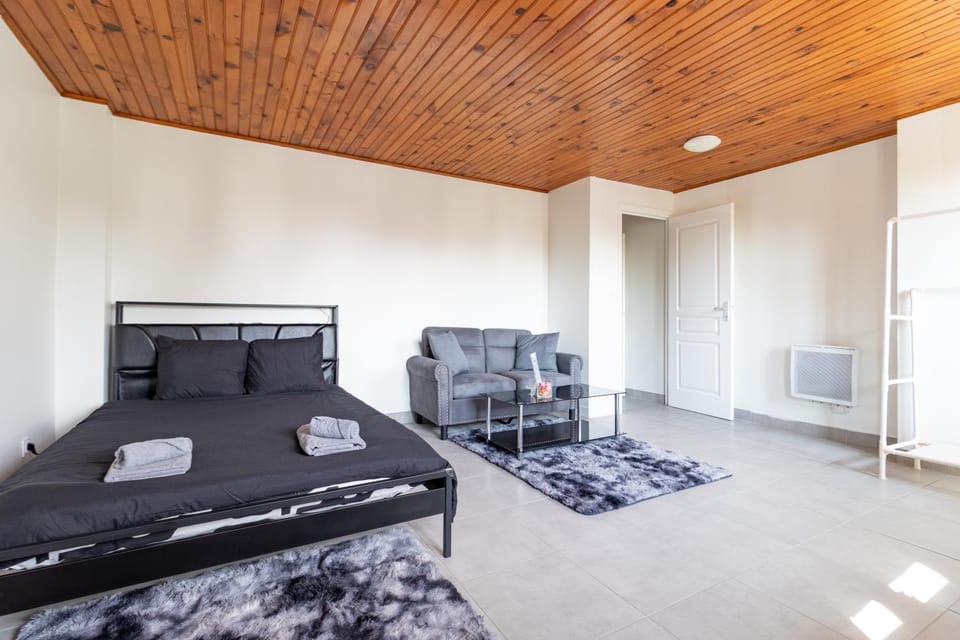 Bed, Living room, Photo of the whole room, Seating area, Bedroom, towels