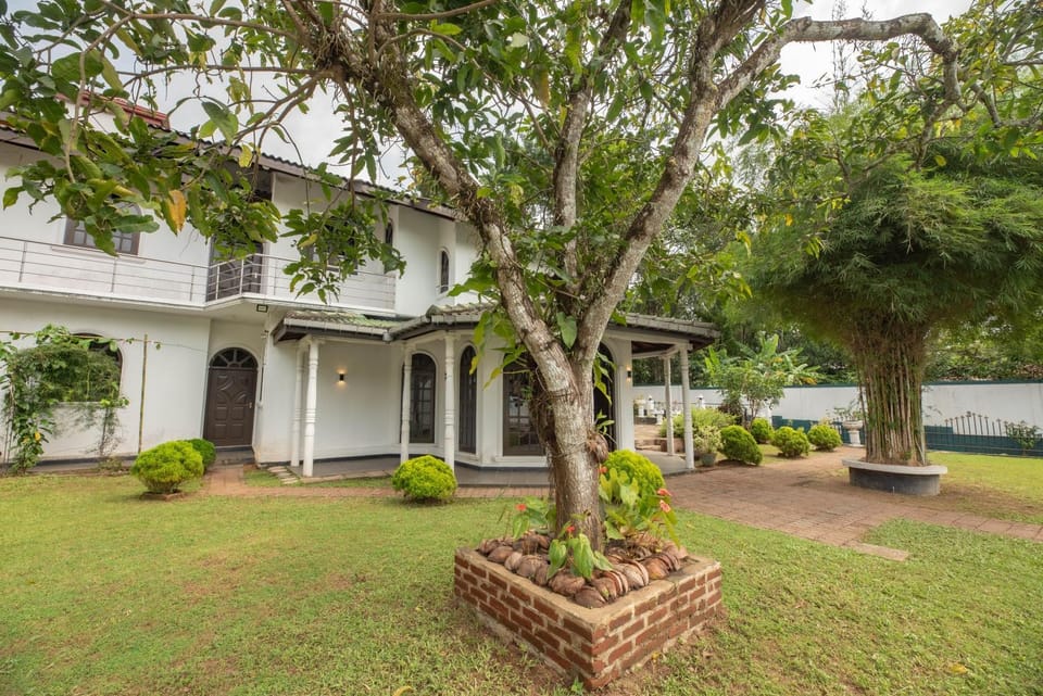 Property building, Garden, Garden