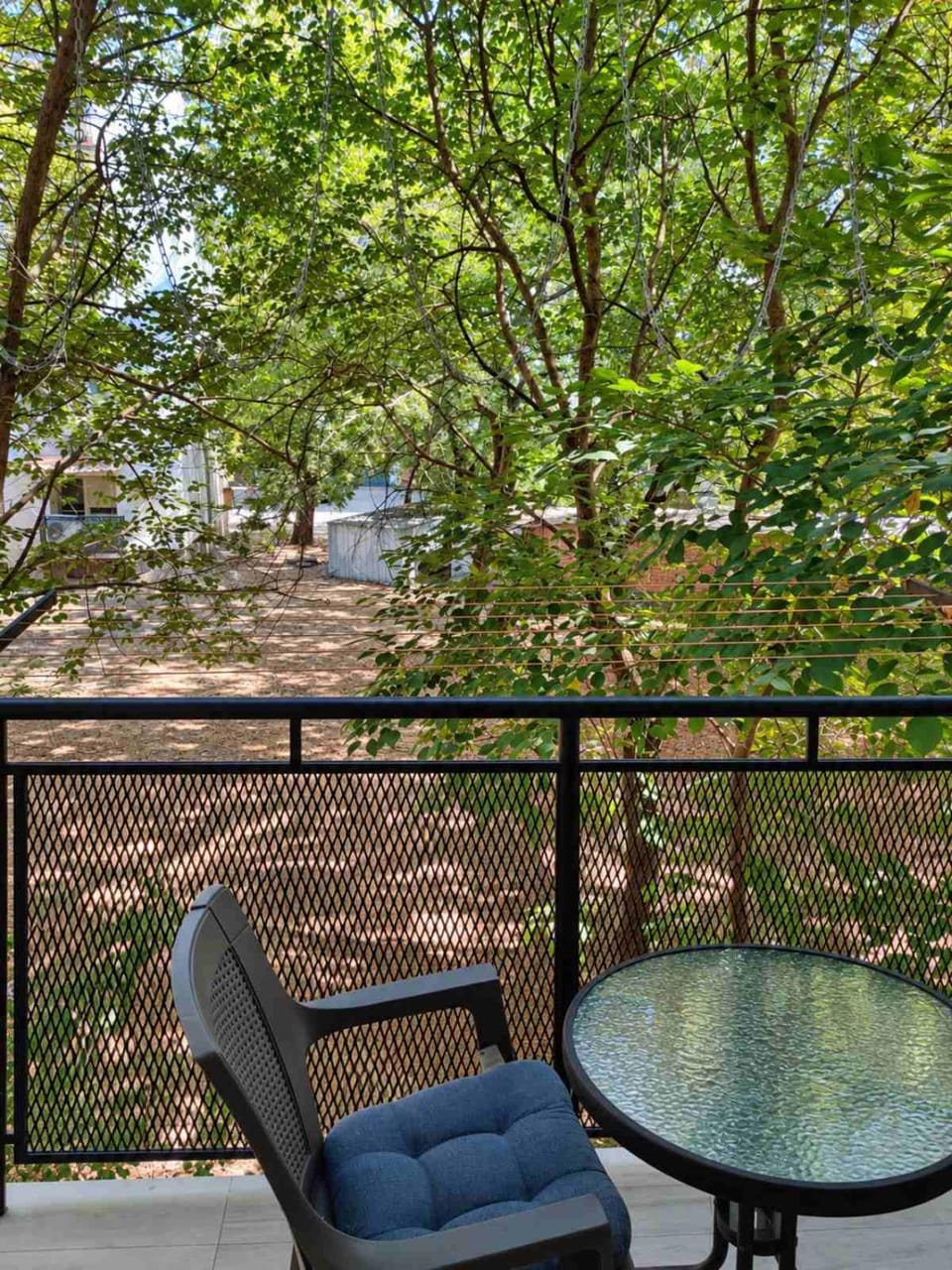 Apartman Sava Apartment in Vojvodina