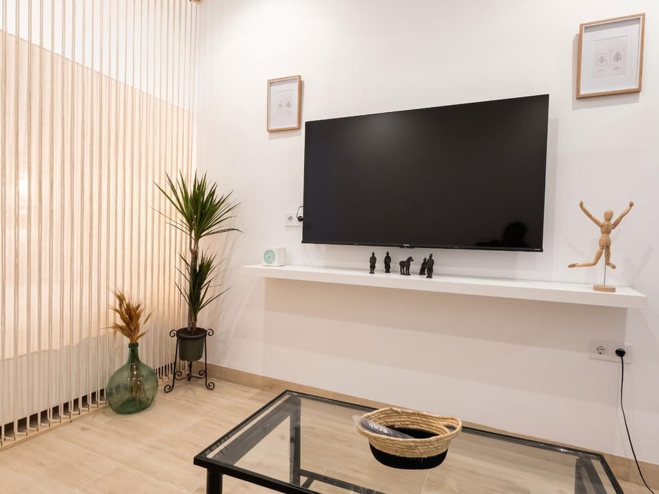 TV and multimedia