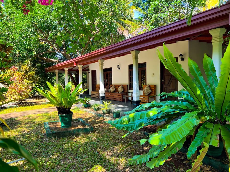 Property building, Garden, Garden view