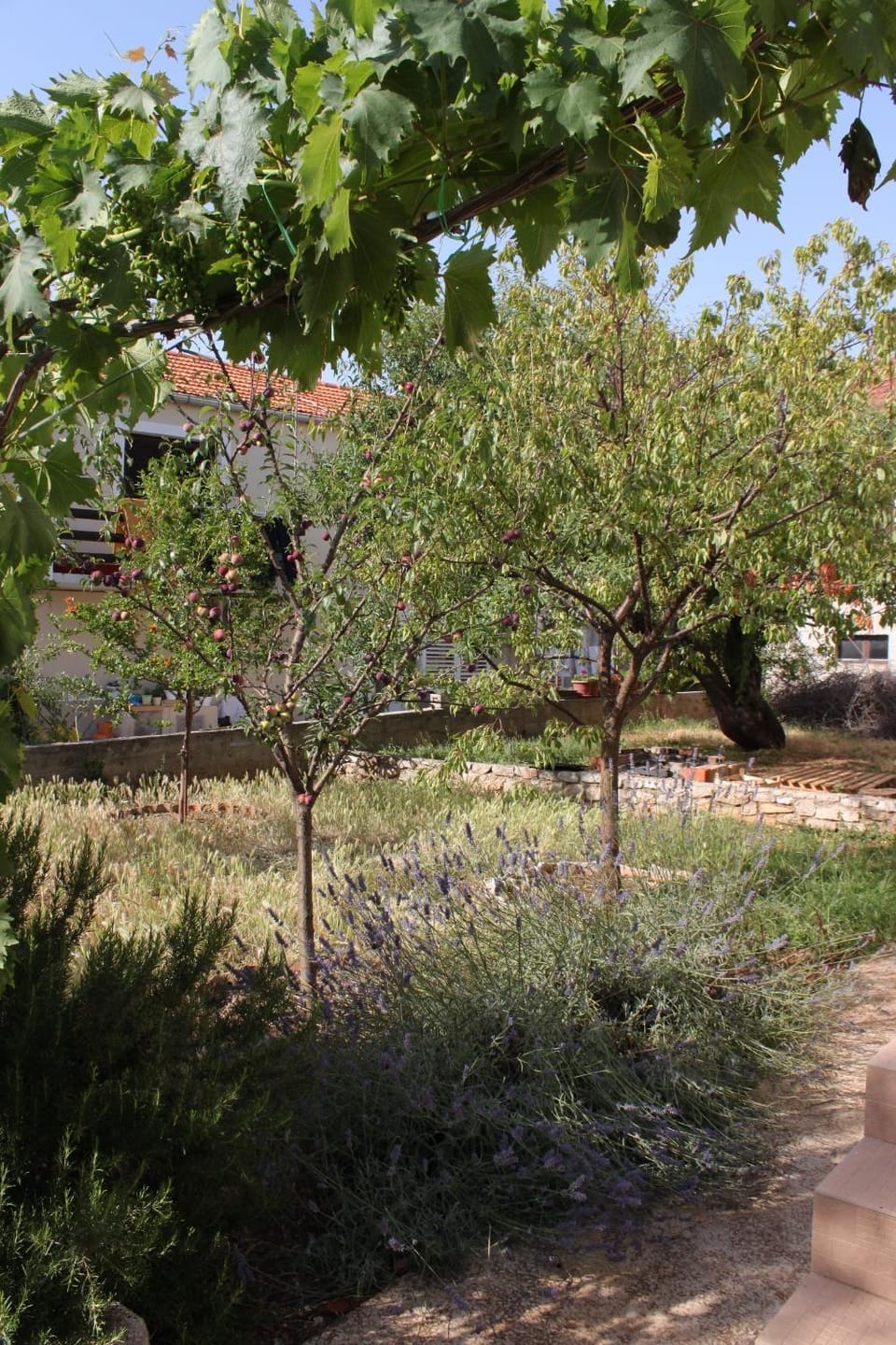 Location, children, Family