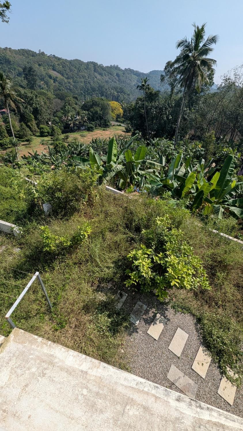 Natural landscape, Garden view, Mountain view