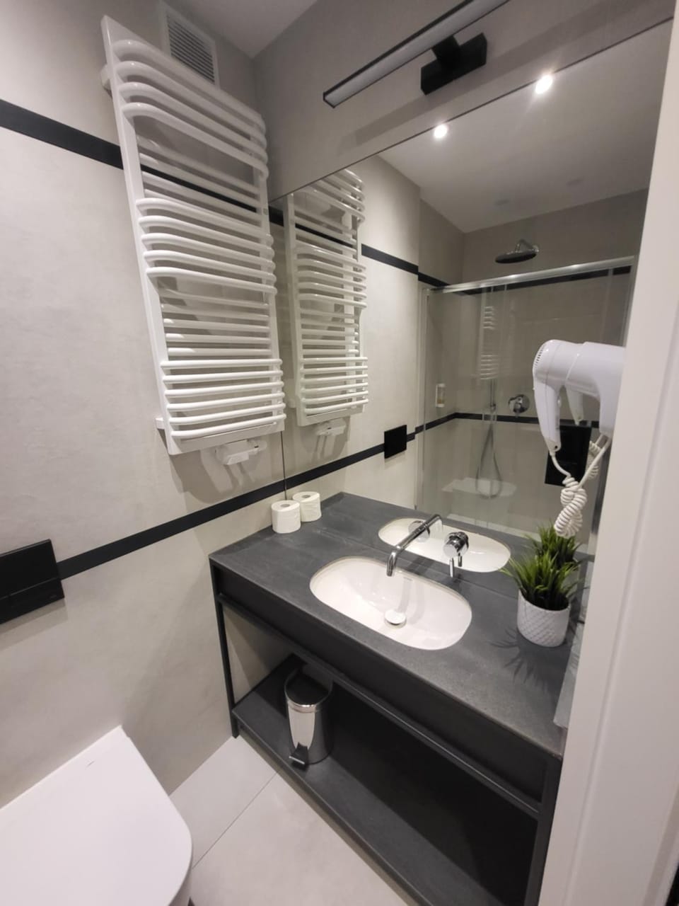 Toilet, Bathroom, hair dryier