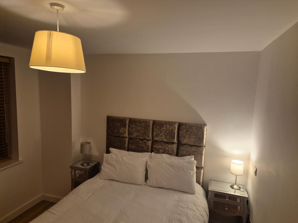 Grand Canal Dock Apartment in Dublin