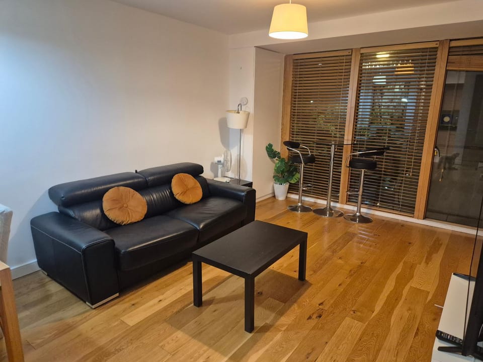 Grand Canal Dock Apartment in Dublin