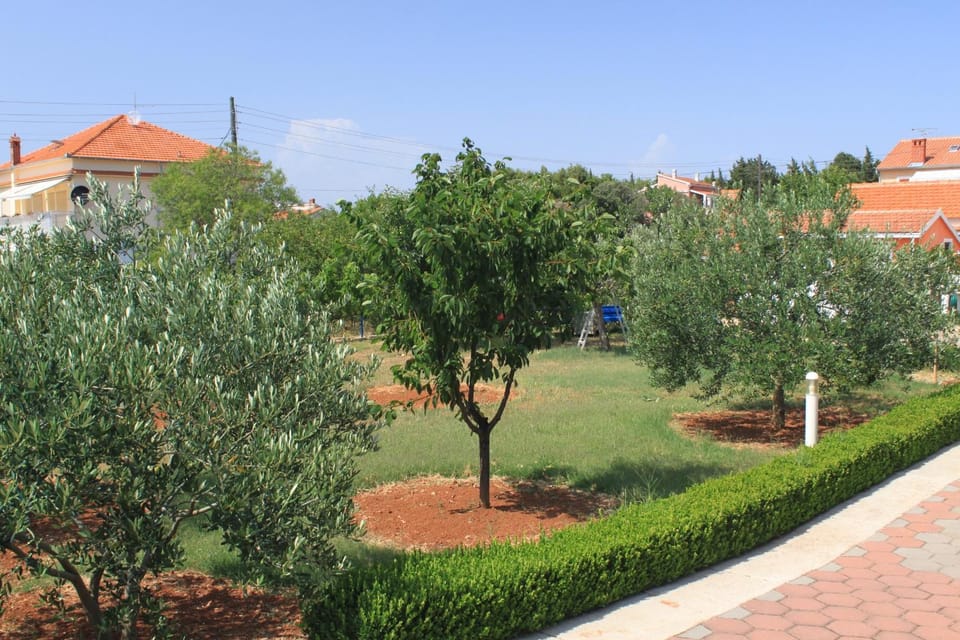 Location, children, Family