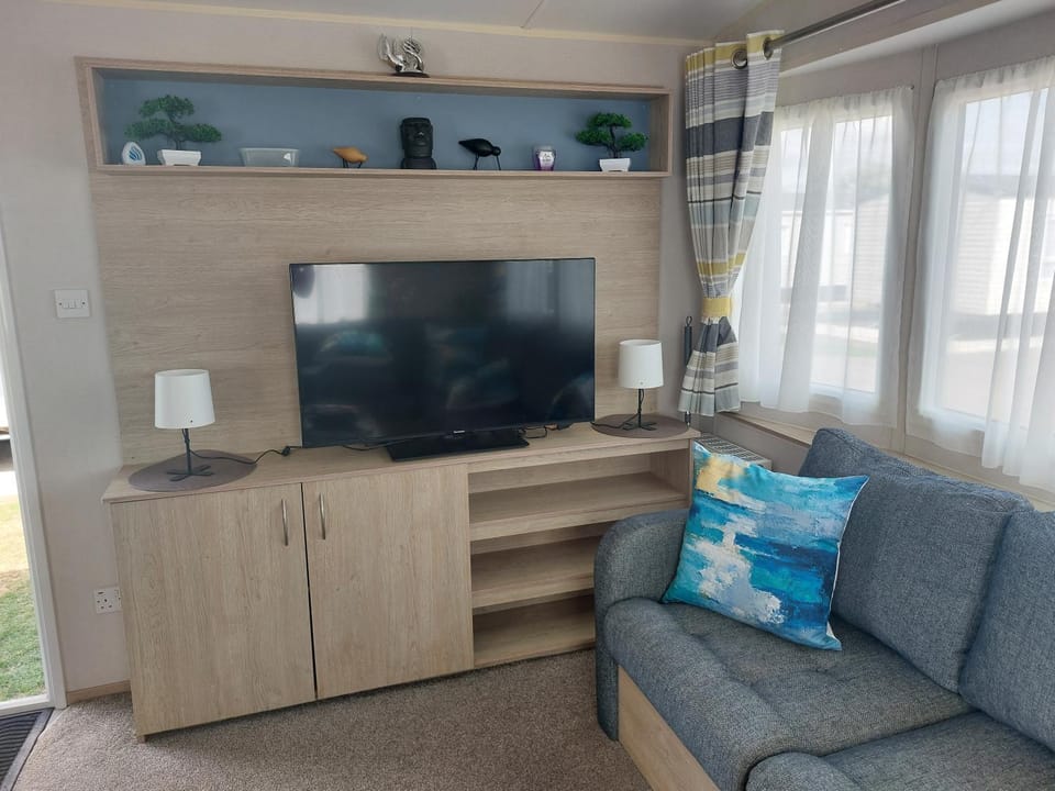 TV and multimedia