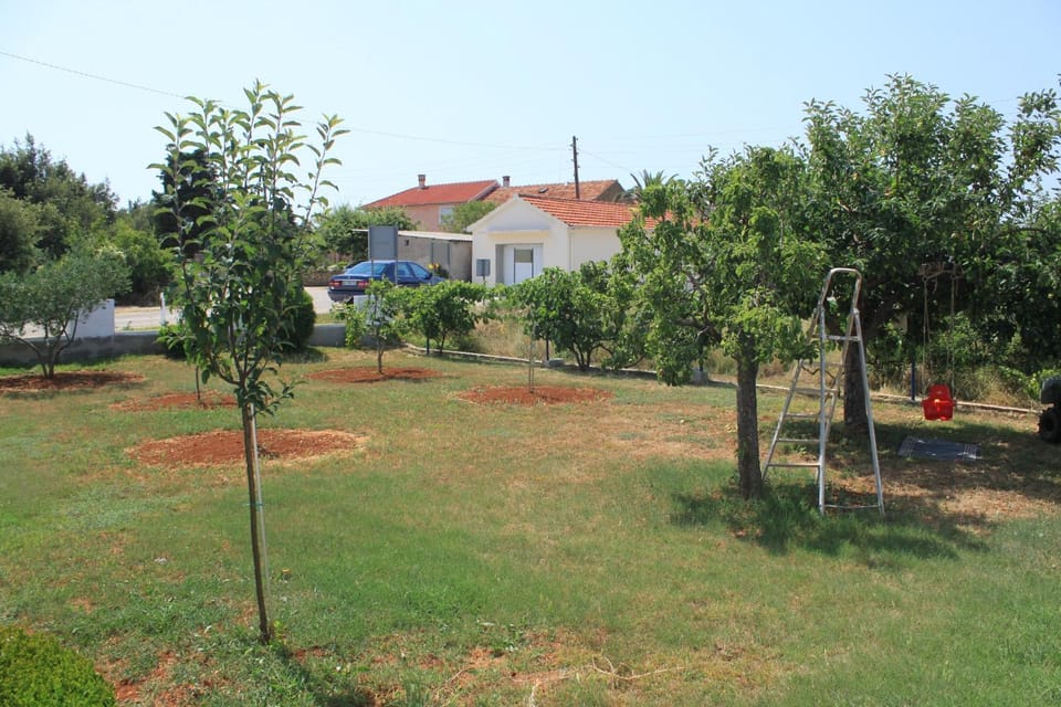 Location, children, Family