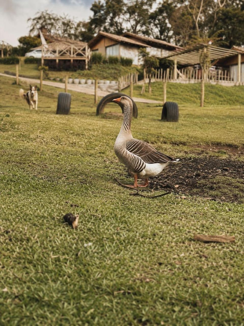 Paiol Campground/ 
RV Resort in State of Paraná