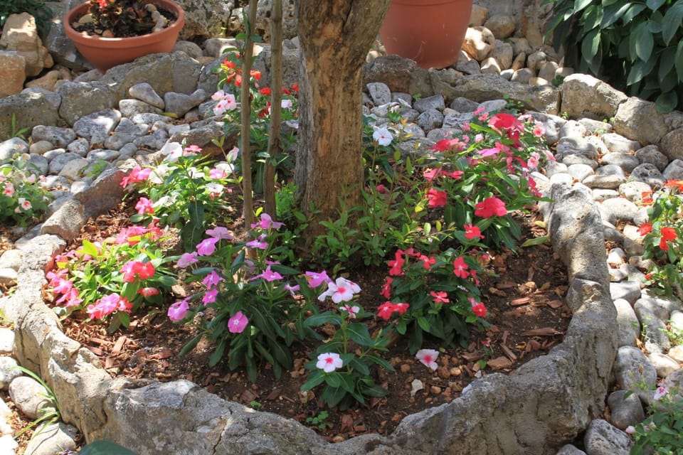 Location, children, Family