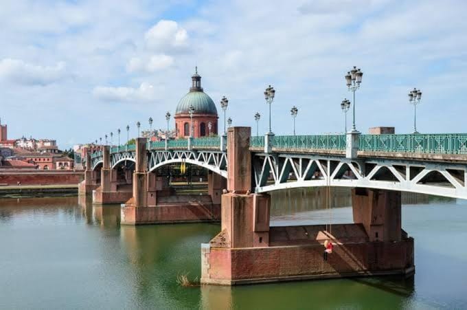 Le clos des magnolias Apartment in Toulouse