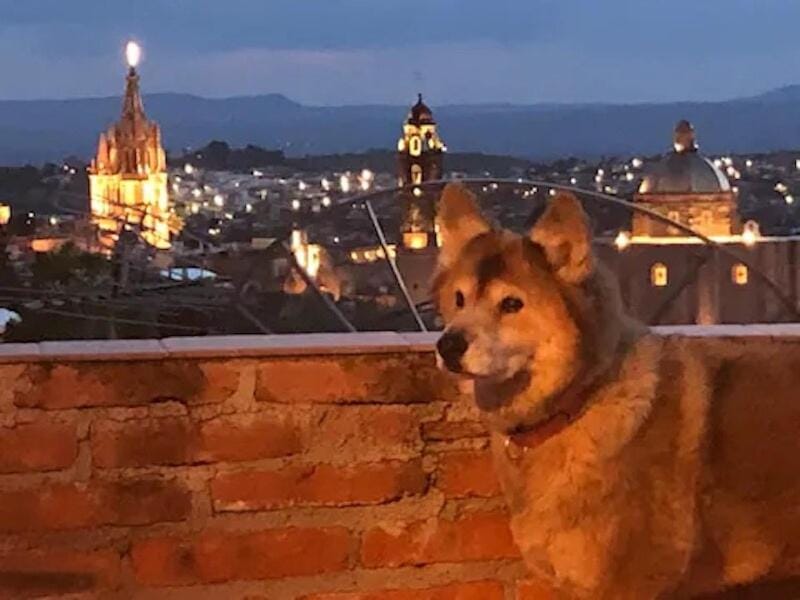 City view