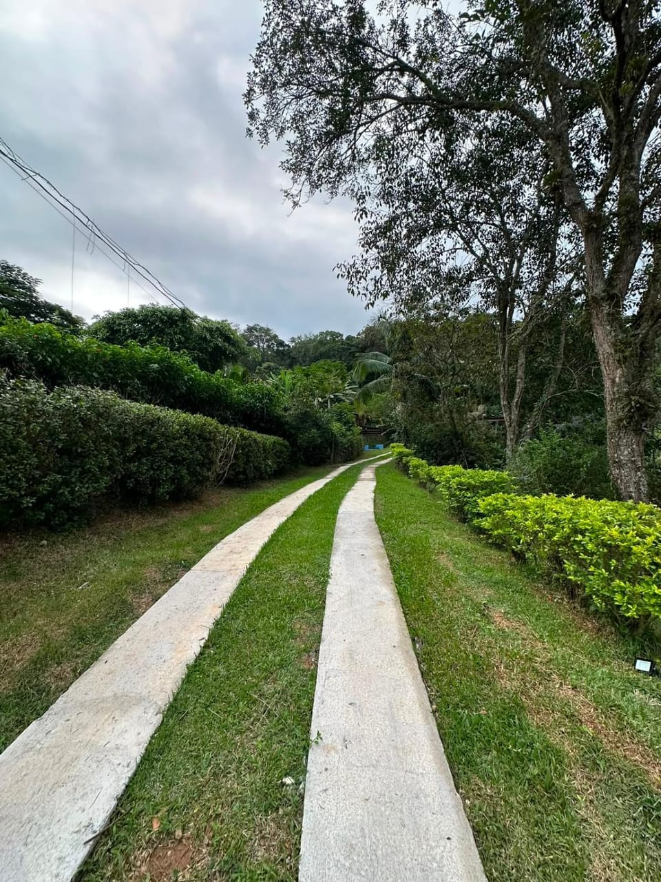 Day, Natural landscape, Garden, Garden