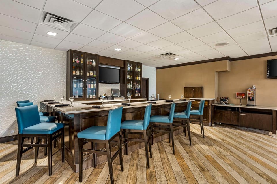 Lounge or bar