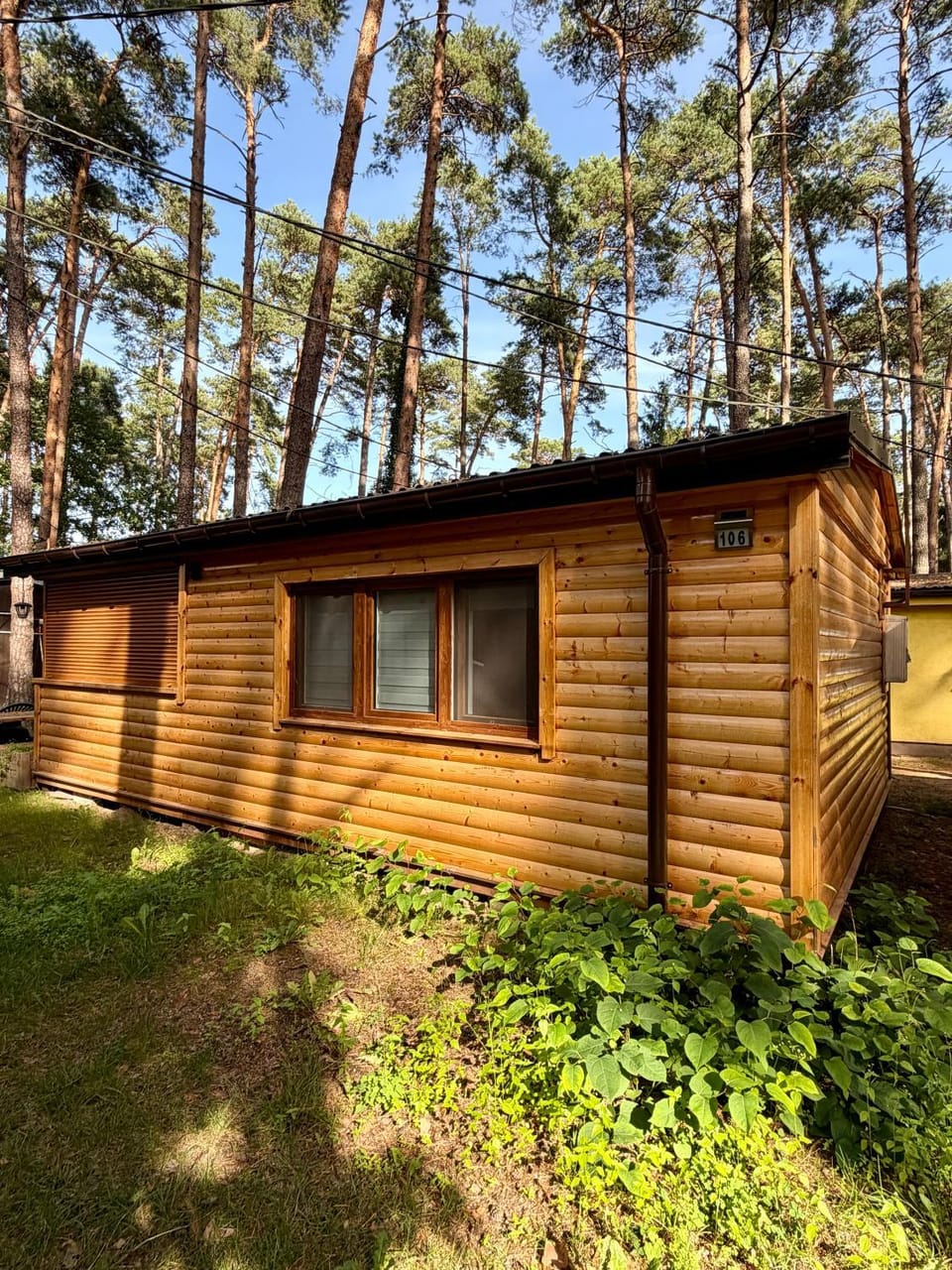 Lake & Forest Cabin Cabin in Masovian Voivodeship