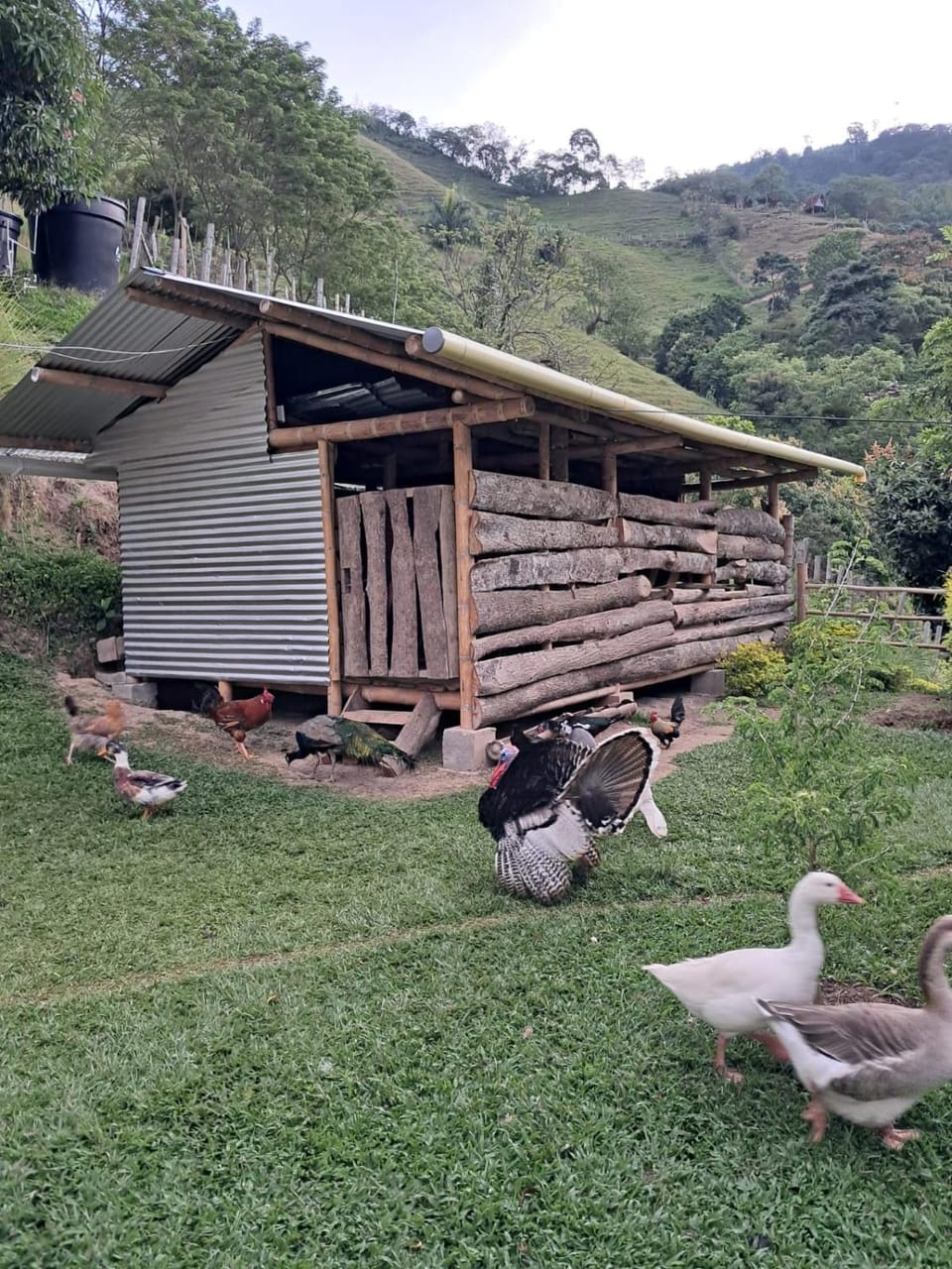 Cabaña El Refugio Naturaleza y Tranquilidad House in Caldas, Colombia