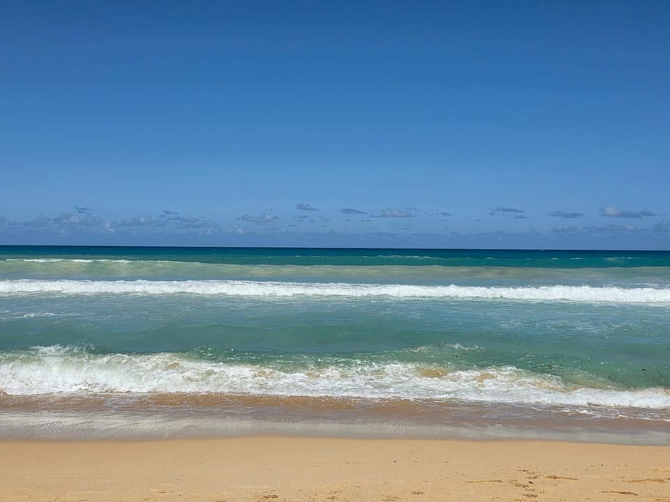 Sol oasis punta cana Apartment in Punta Cana