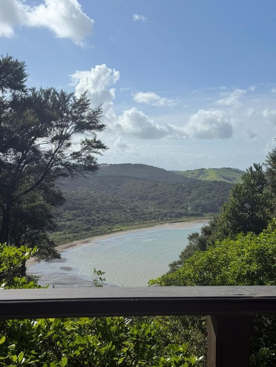 Bella Vista Treehouse House in Auckland Region