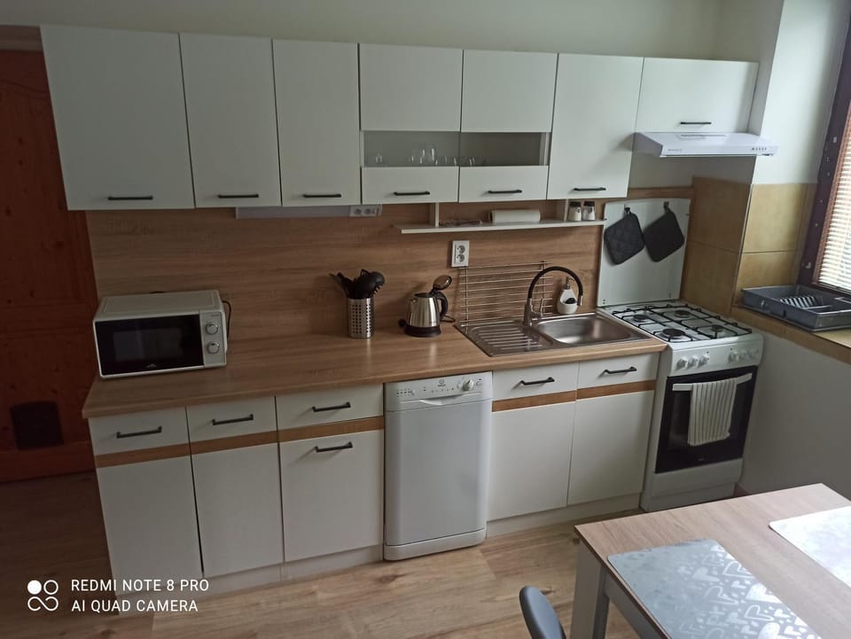 Kitchen or kitchenette, dishwasher, oven