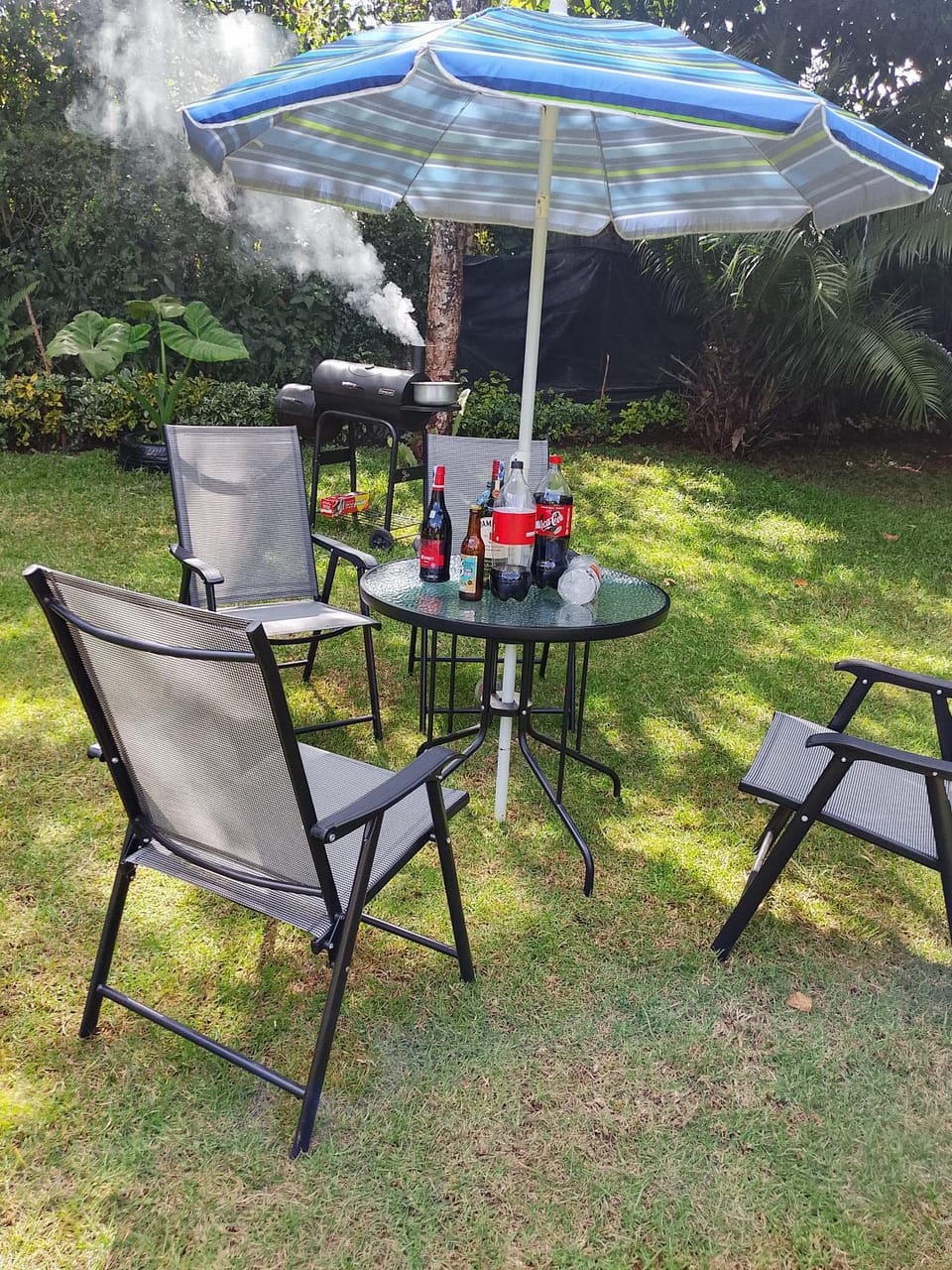 Garden view, sunbed