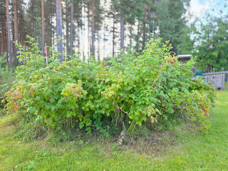 Villa Norrsken House in Norrbotten County, Sweden