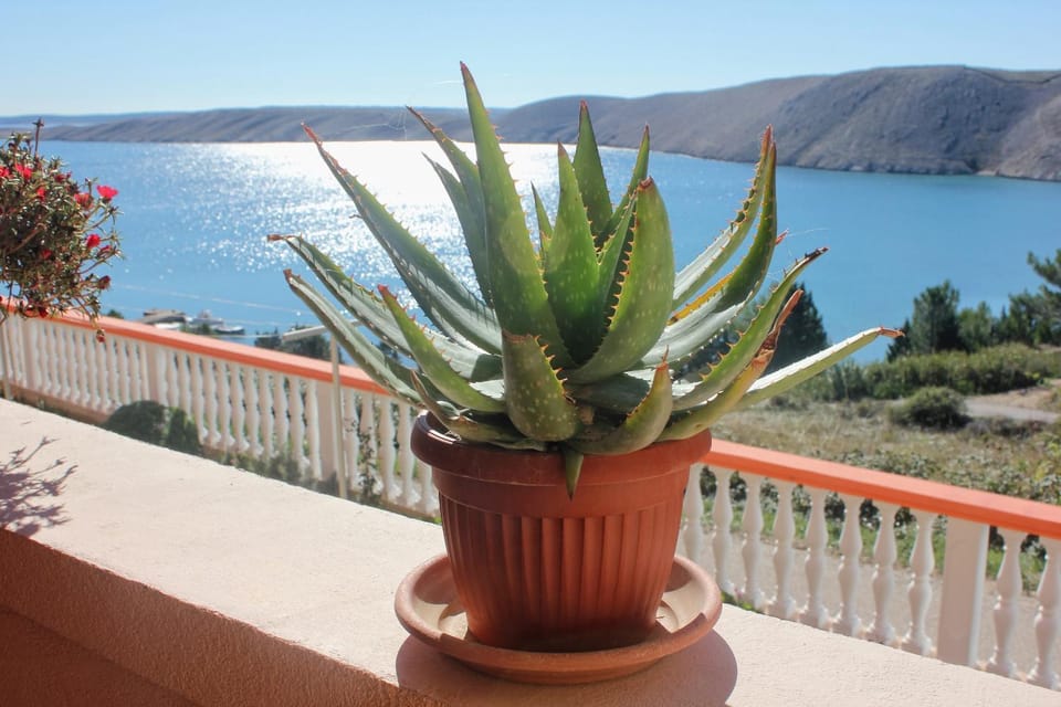 Location, children, Family