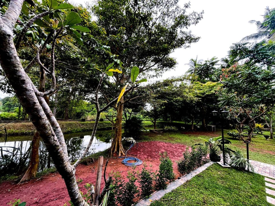 Riverside Charlet Country House in Western Province