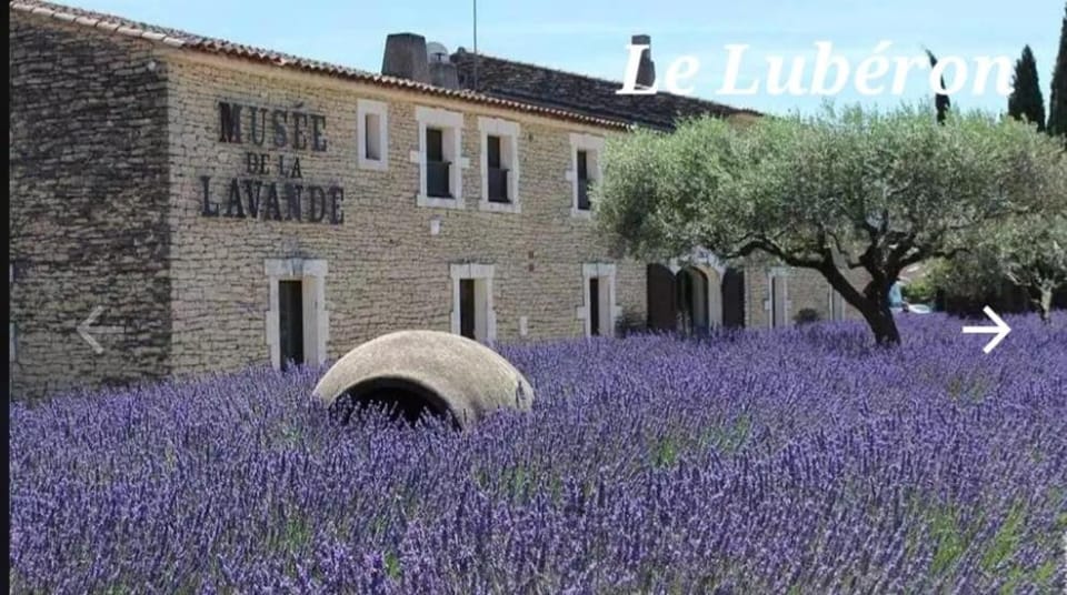 Comfortable villa with pool 15 minutes from Avignon House in Pernes-les-Fontaines