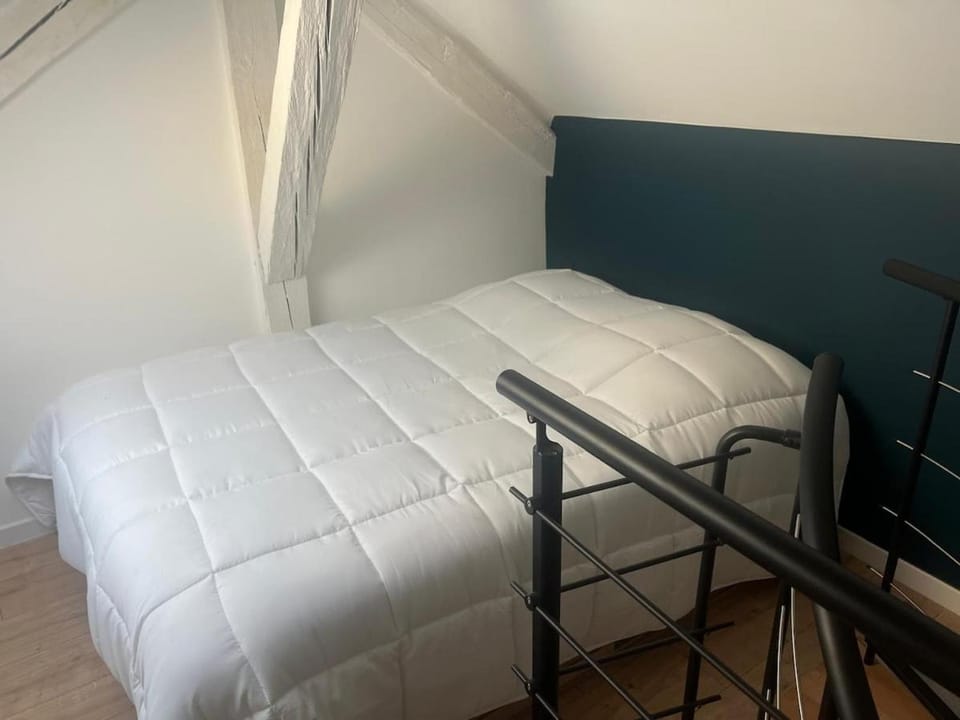Le Cocon Douillet - Votre petit nid en hypercentre Apartment in Thonon-les-Bains