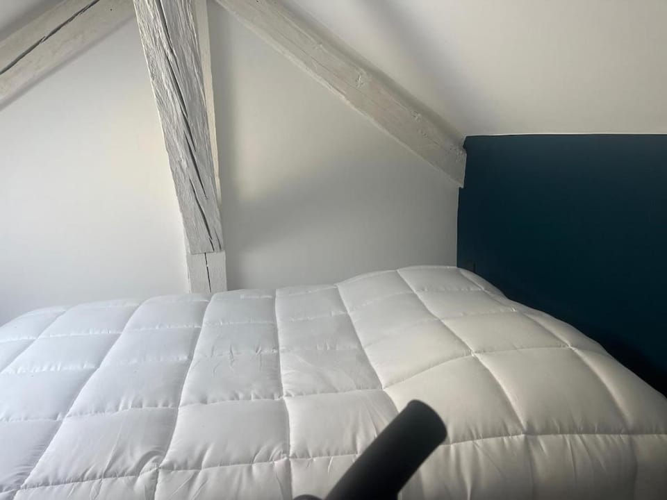 Le Cocon Douillet - Votre petit nid en hypercentre Apartment in Thonon-les-Bains