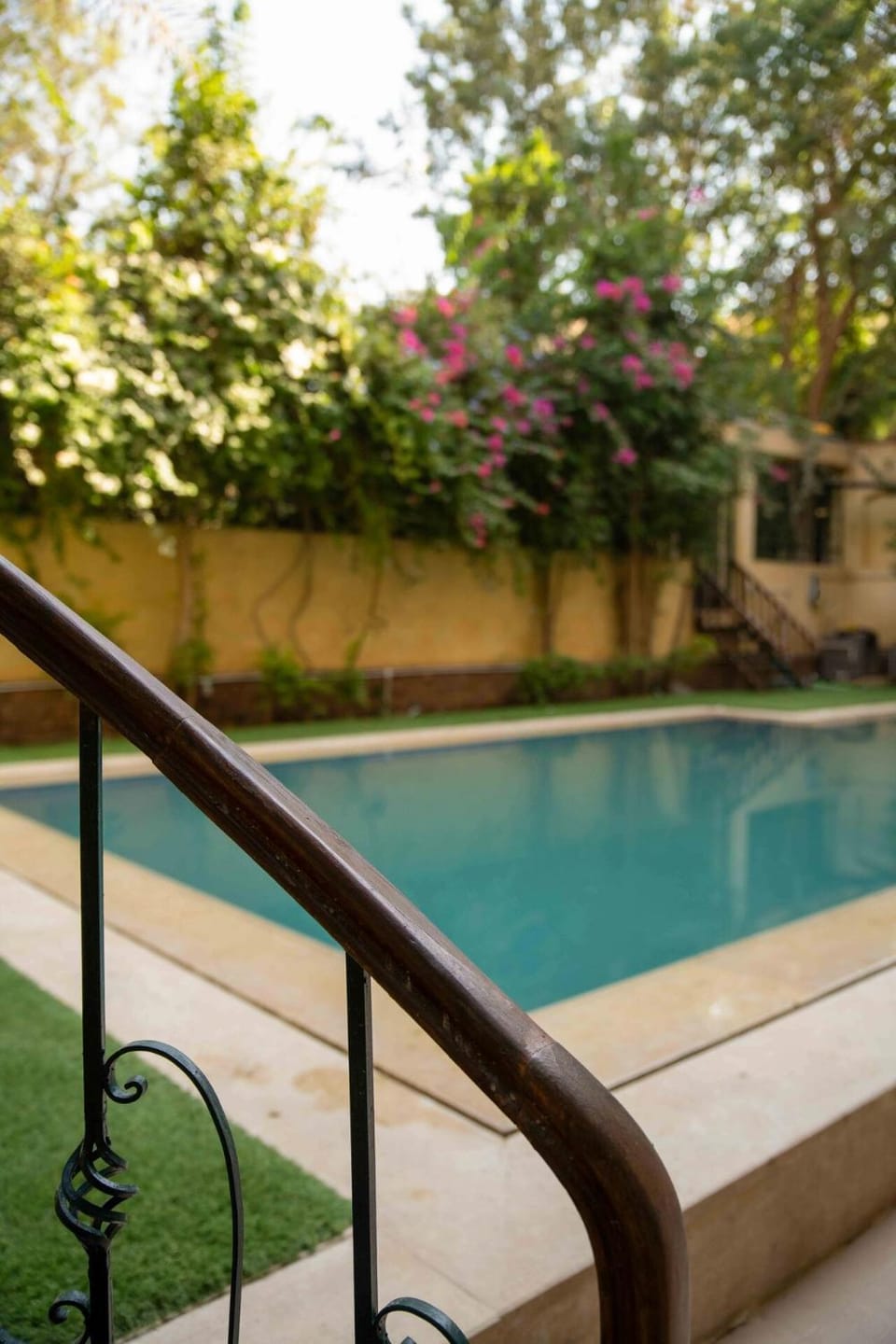 Garden, Swimming pool