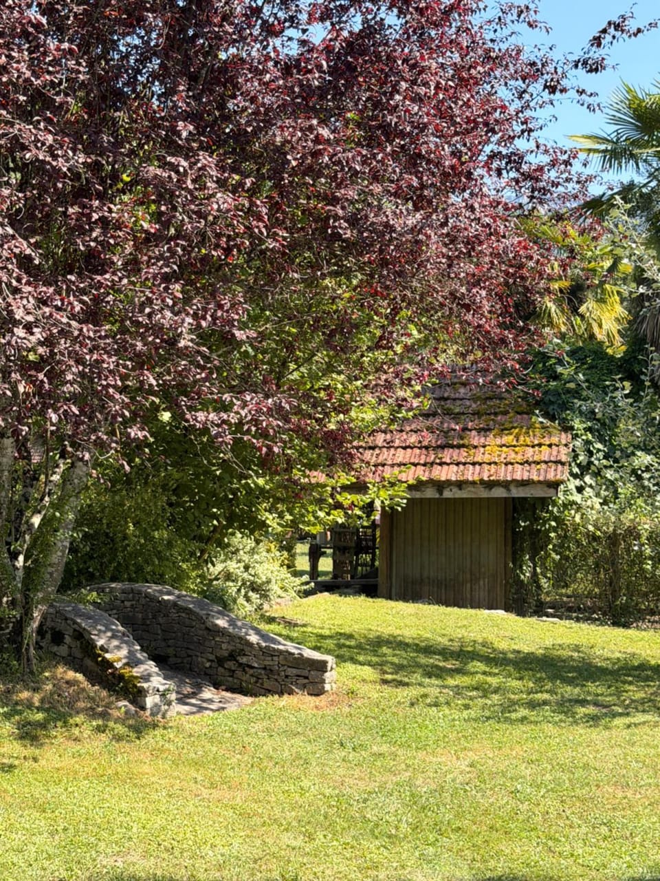 Les Nids du Chat House in Auvergne-Rhône-Alpes