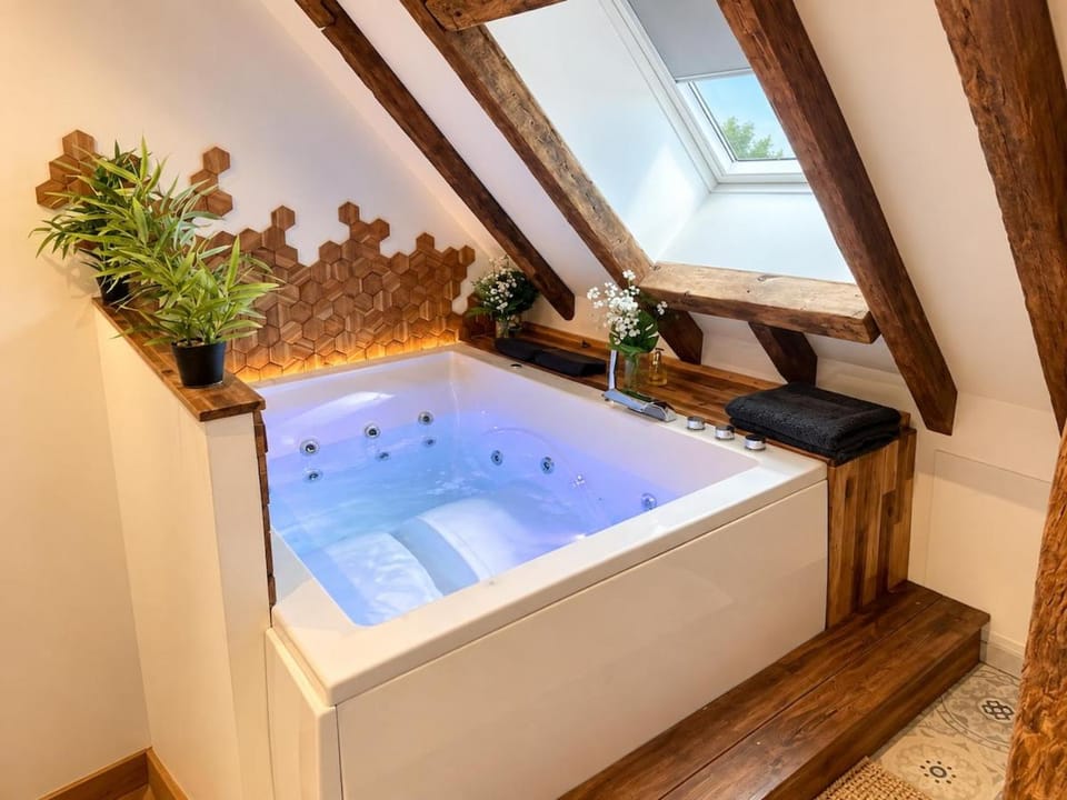 L'échappée I Spa I Central Apartment in Bourges