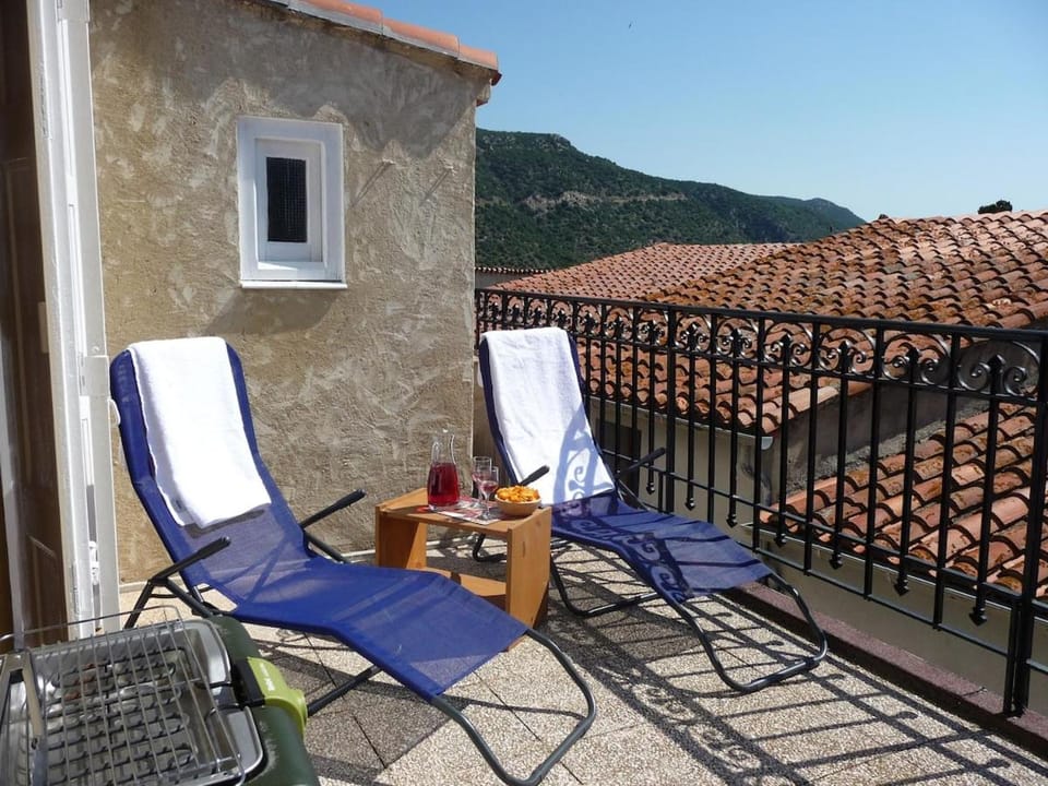 Maison Anis, character village house, great views! House in Occitanie