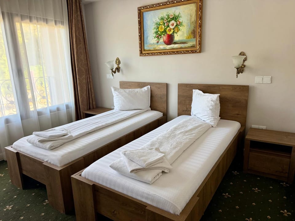 Casa cu Tei Hotel in Timiș County