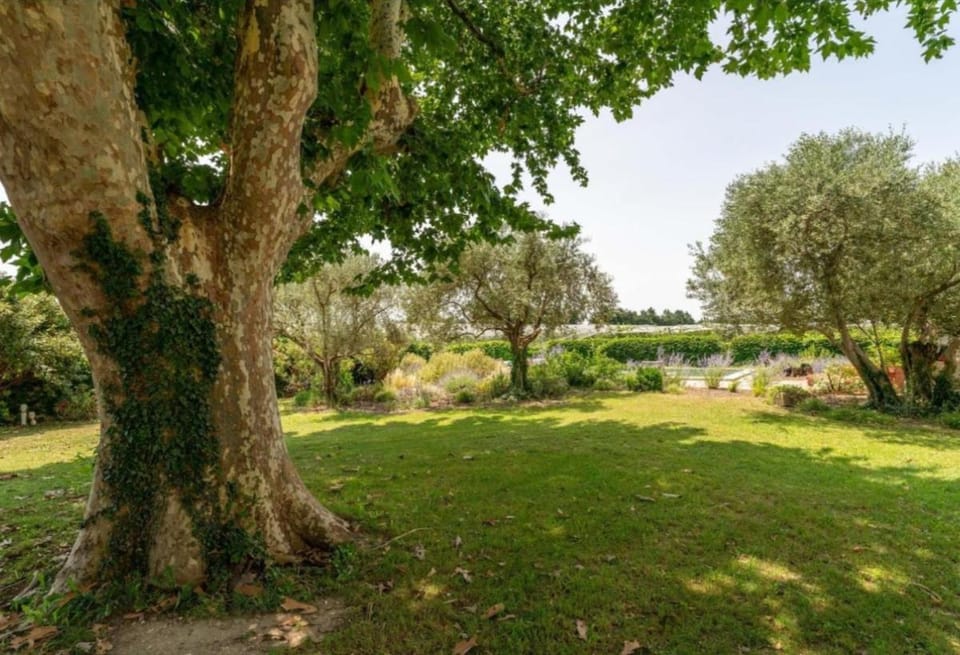 Mas du petit duc Mas provençal, piscine, 100 m2, 6 personnes House in Le Thor