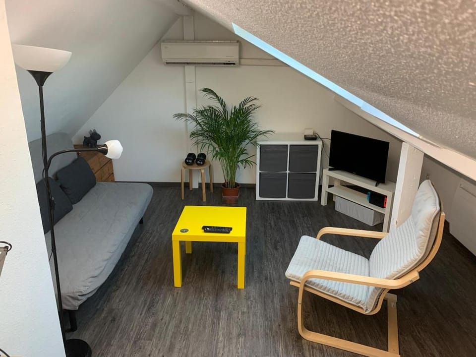 Studio cosy sous les toits Apartment in Strasbourg