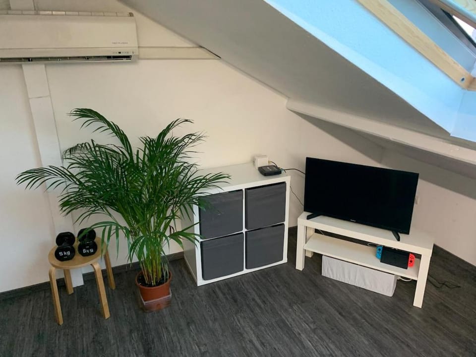 Studio cosy sous les toits Apartment in Strasbourg