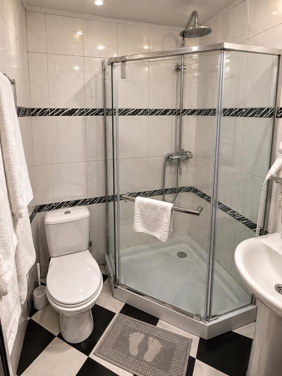 Shower, Toilet, towels