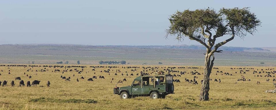 Kampus Mara Nature lodge in Kenya