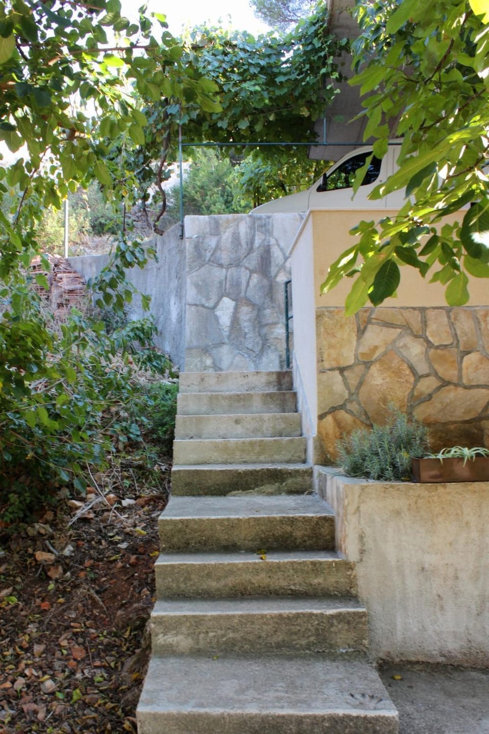 Location, children, Family