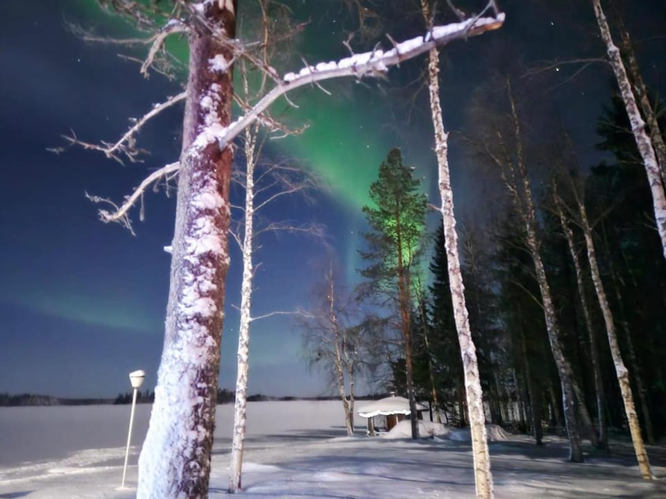 Red Fox Wilderness Cabin & Northern Lights Cabin in Rovaniemi